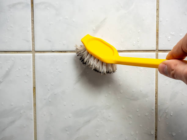 Best Mold Testing and Inspection Services in Hartford, KY